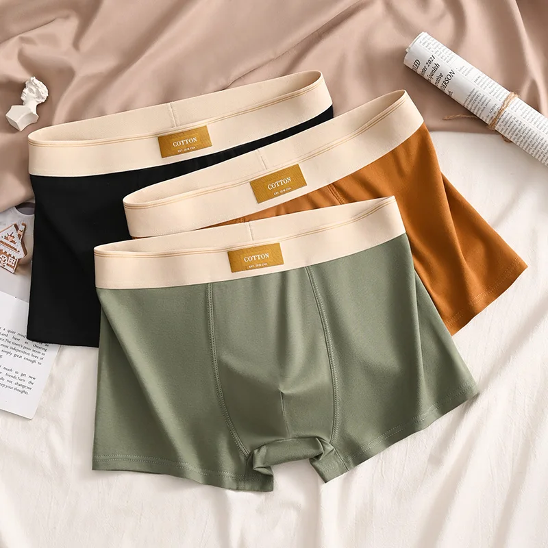 Luxury Men Underpants Man Cotton Breathable Comfortable Boxer Selling Shorts Men's Panties Plus Size Panties Underwear Gift