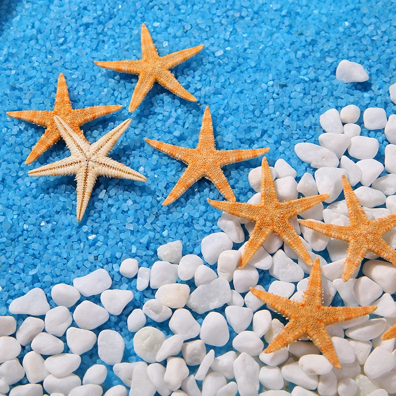 100Pcs/pack New Simulation Natural Starfish Micro Landscape DIY Hanging Photo Frames Candles Beach Handicrafts Home Decoration